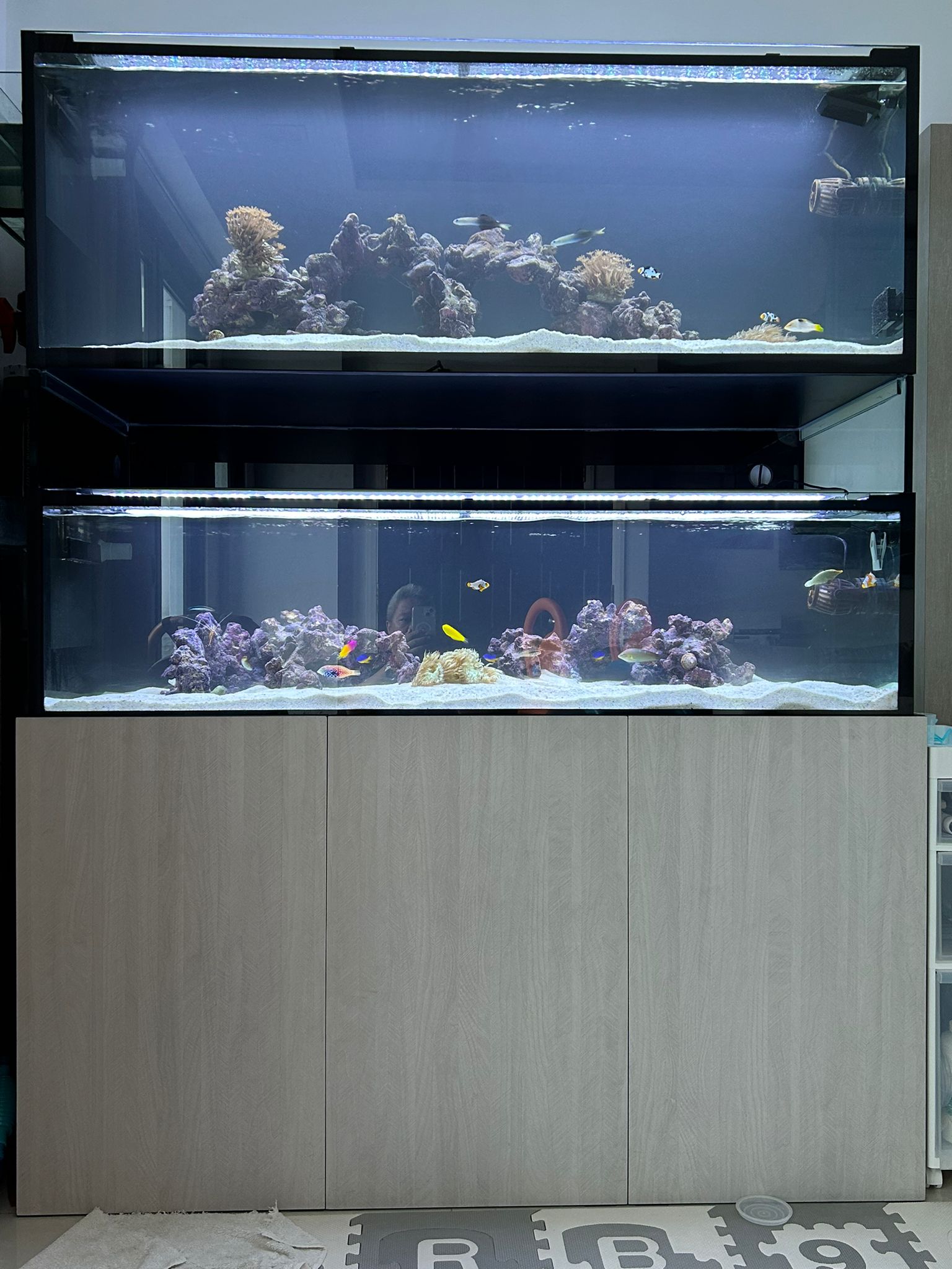 Visual idea from this collection